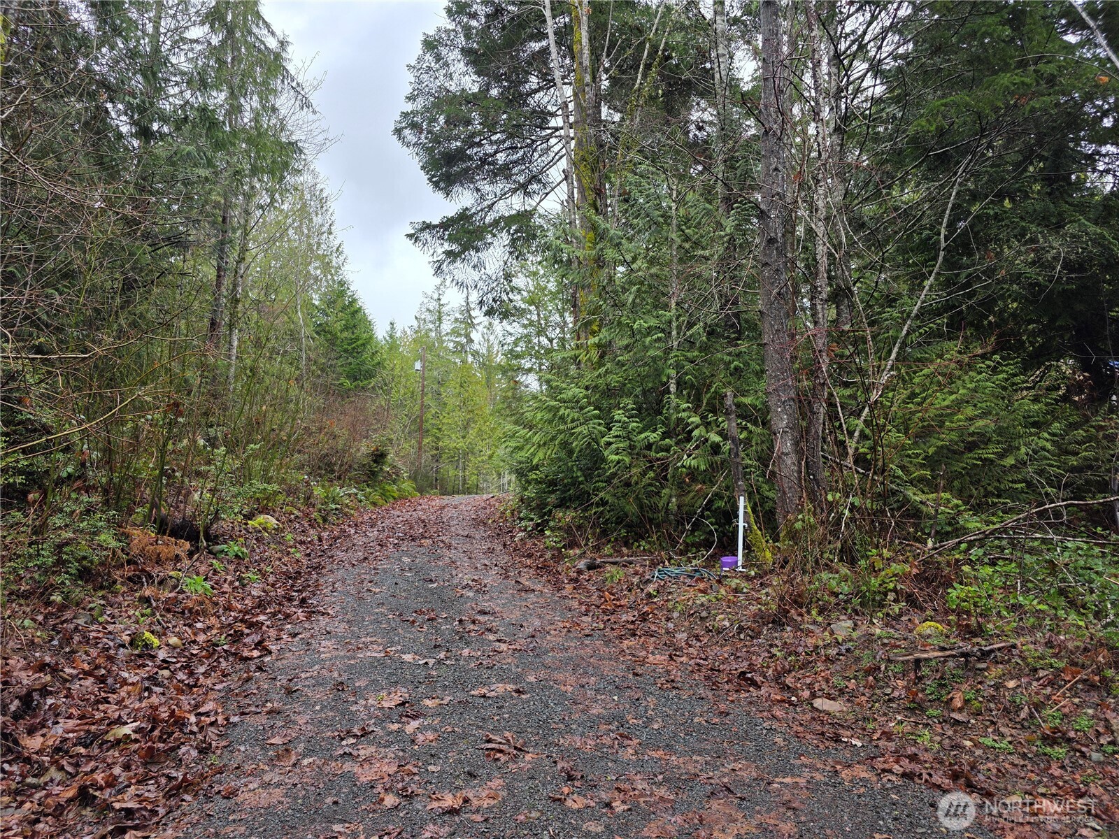 311130 Highway 101 Brinnon WA 98320