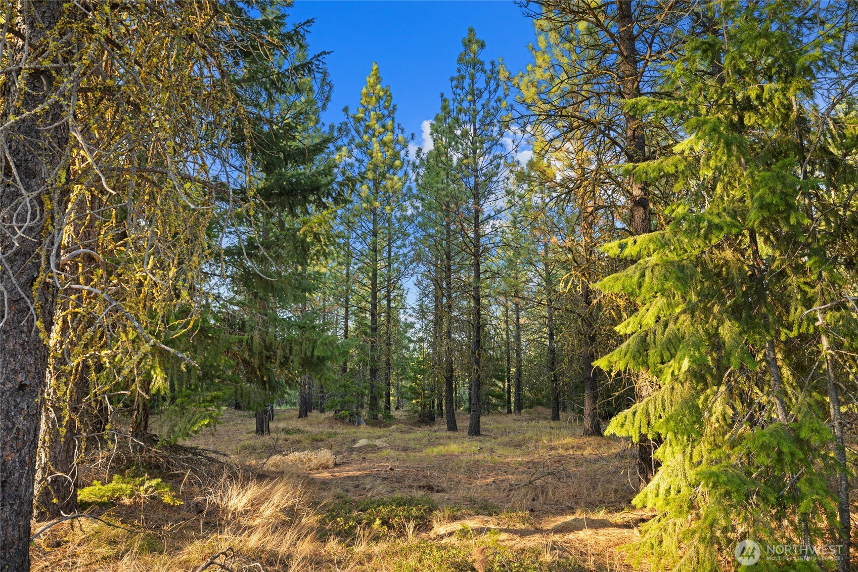 131 Gold Leaf Lane Cle Elum WA 98922