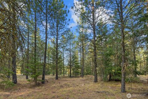131 Gold Leaf Lane Cle Elum WA 98922
