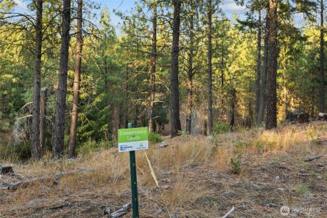 131 Gold Leaf Lane Cle Elum WA 98922