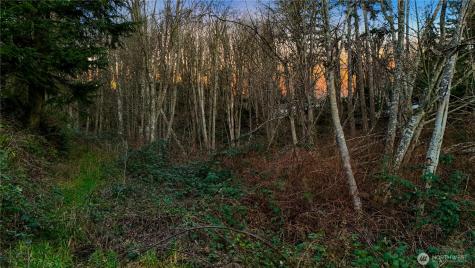 927 Grennan Place Camano Island WA 98282