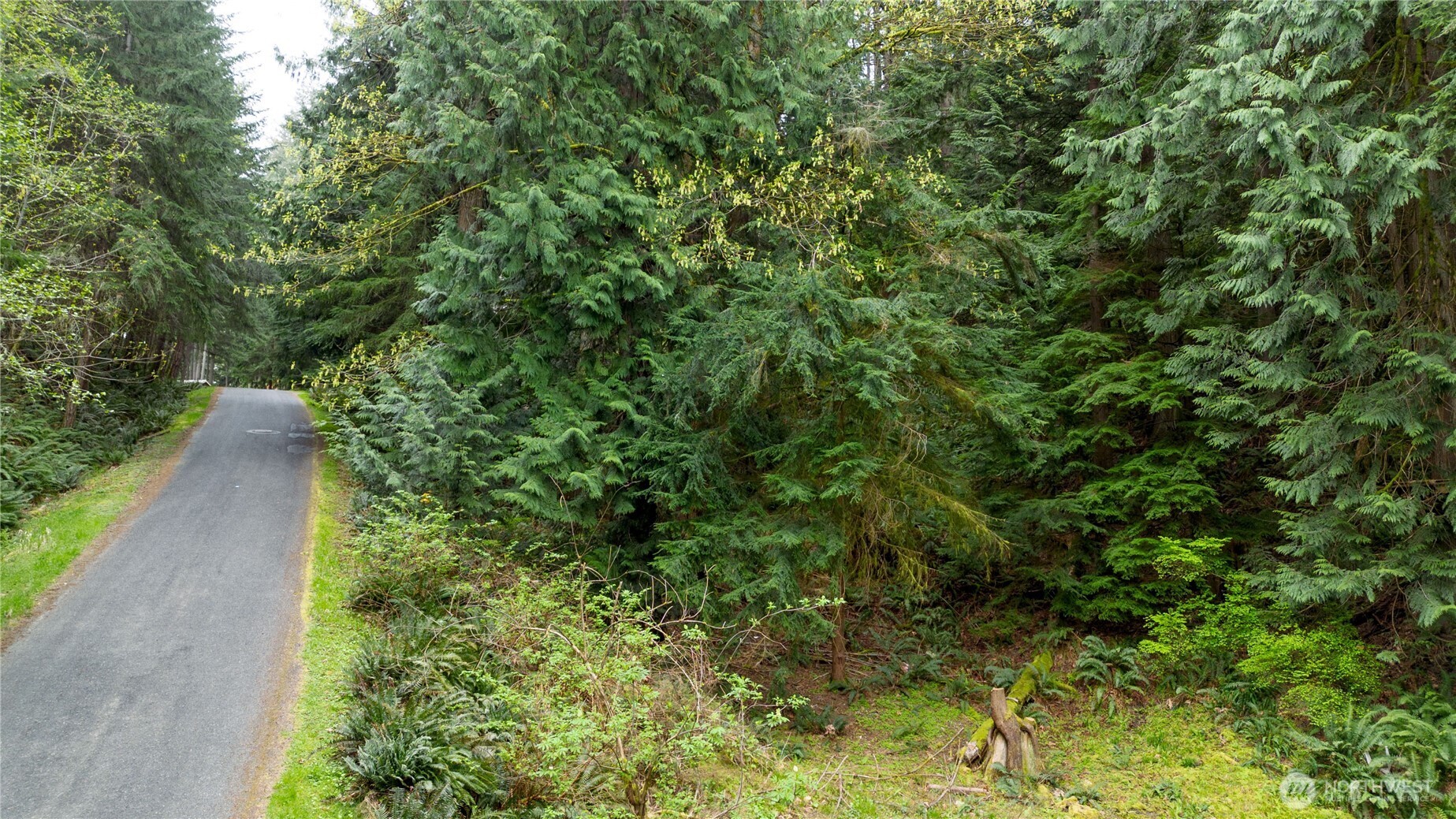 13 Wisteria Lane Bellingham WA 98229