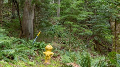 13 Wisteria Lane Bellingham WA 98229