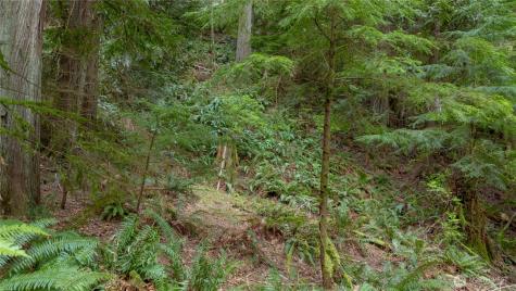 13 Wisteria Lane Bellingham WA 98229