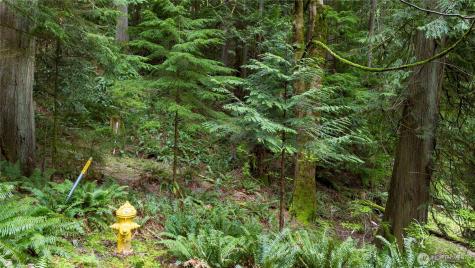 13 Wisteria Lane Bellingham WA 98229