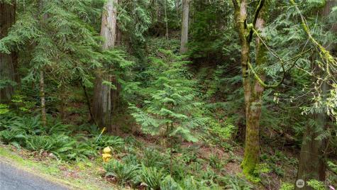 13 Wisteria Lane Bellingham WA 98229