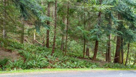 13 Wisteria Lane Bellingham WA 98229