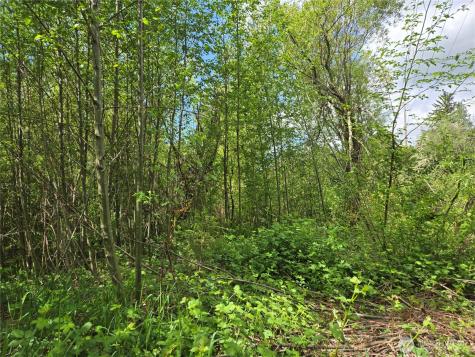 11 6th Avenue SE Issaquah WA 98027