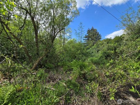 11 6th Avenue SE Issaquah WA 98027