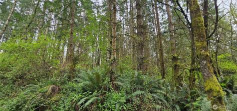 0 House Place Camano Island WA 98282