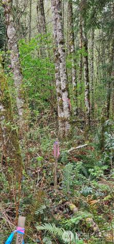 0 House Place Camano Island WA 98282
