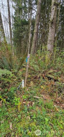 0 House Place Camano Island WA 98282