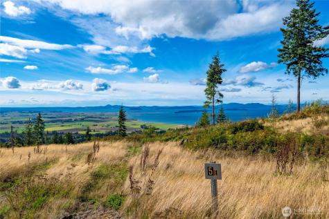 3120 Blanchard Knob Trail Bow WA 98232