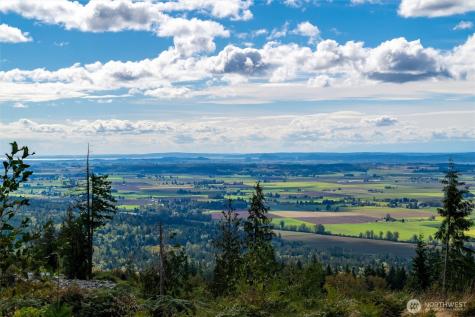 3120 Blanchard Knob Trail Bow WA 98232