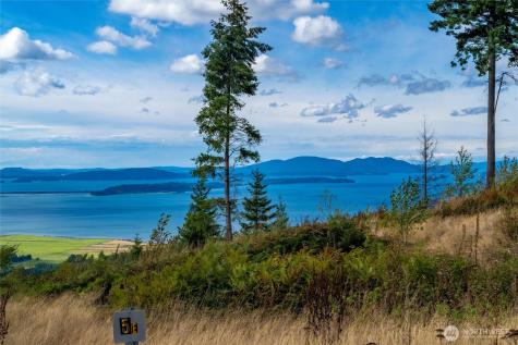 3120 Blanchard Knob Trail Bow WA 98232
