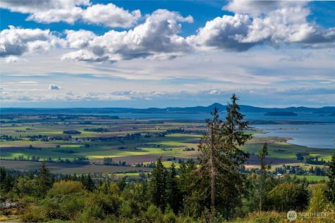 3120 Blanchard Knob Trail Bow WA 98232