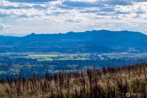 3120 Blanchard Knob Trail Bow WA 98232
