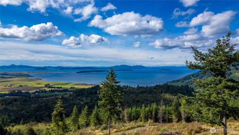 3120 Blanchard Knob Trail Bow WA 98232