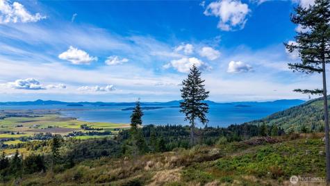 3120 Blanchard Knob Trail Bow WA 98232