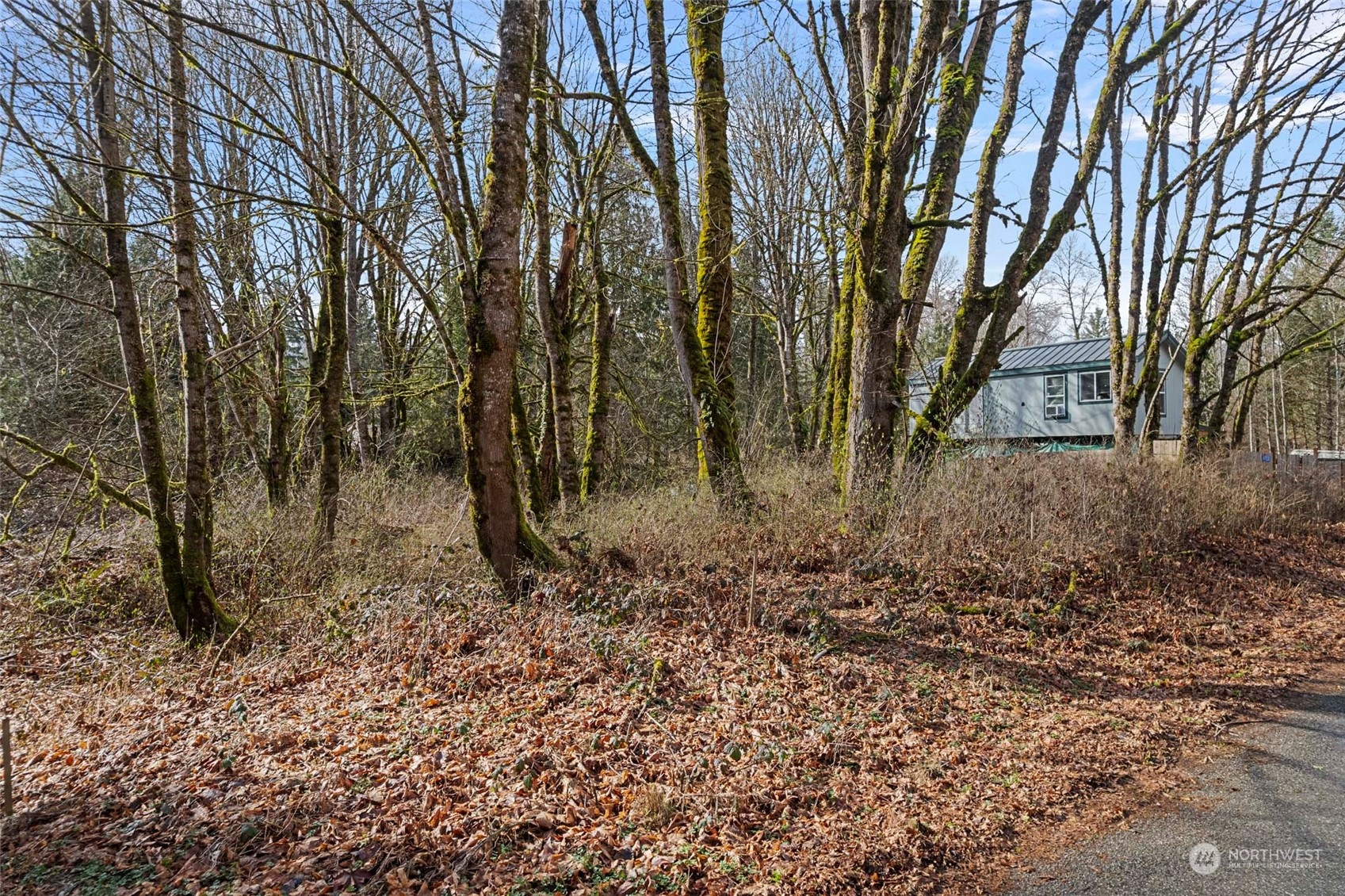 0 Cape Horn Drive Concrete WA 98237