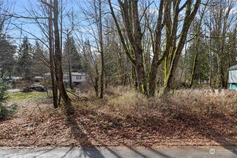 0 Cape Horn Drive Concrete WA 98237
