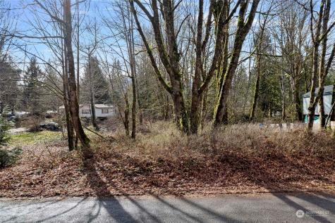 0 Cape Horn Drive Concrete WA 98237