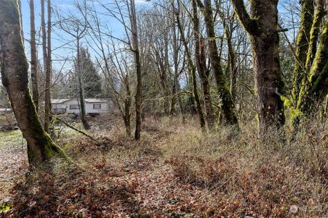 0 Cape Horn Drive Concrete WA 98237