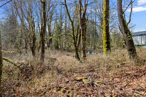0 Cape Horn Drive Concrete WA 98237