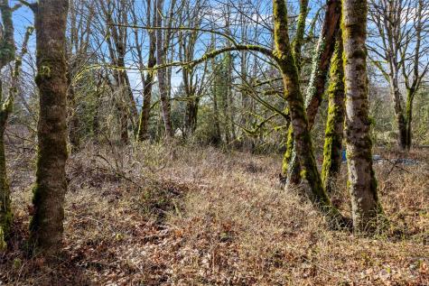 0 Cape Horn Drive Concrete WA 98237