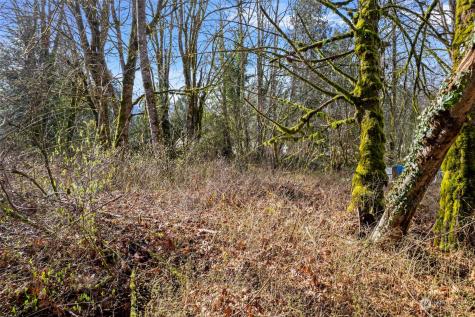0 Cape Horn Drive Concrete WA 98237