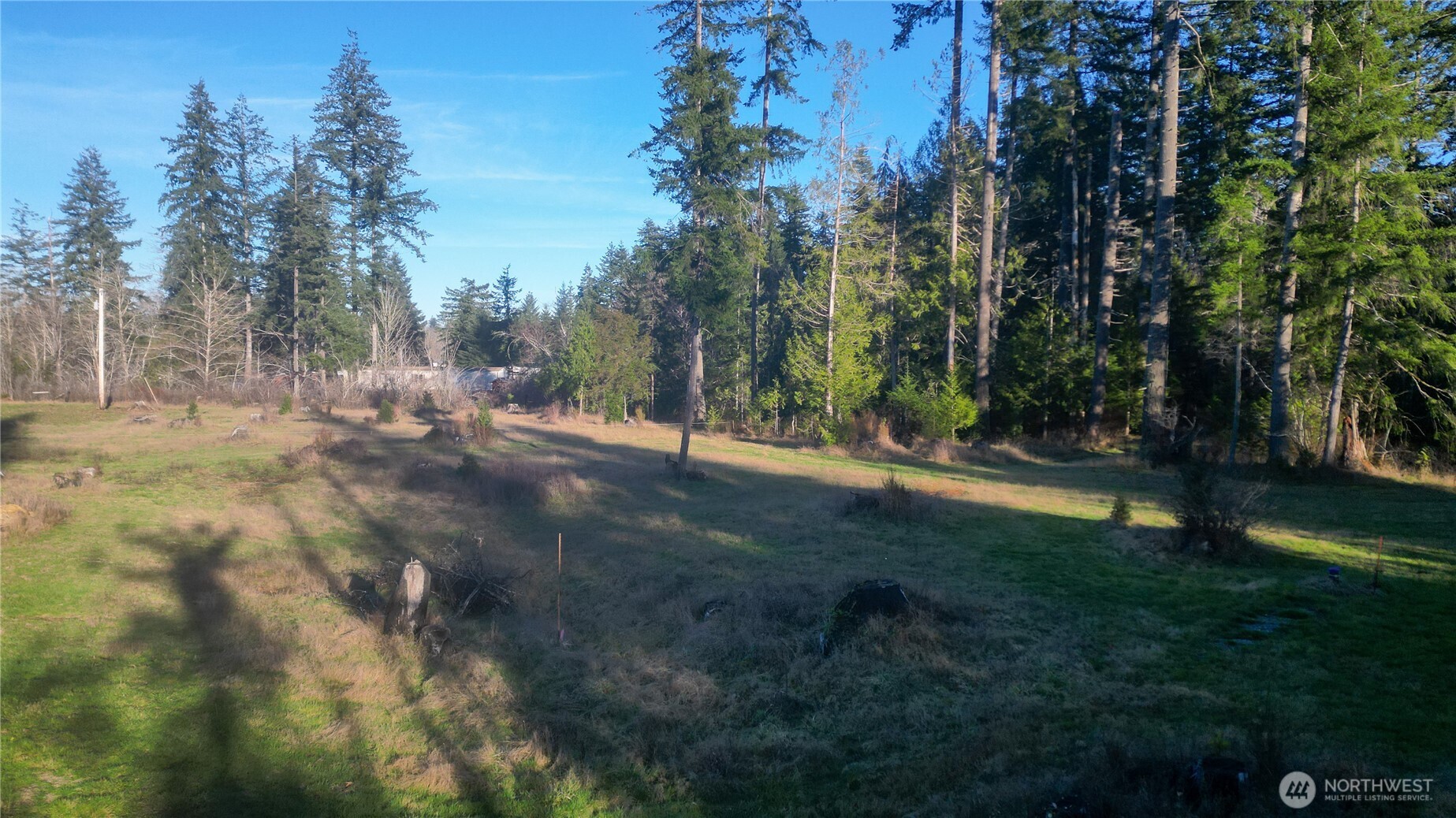 443 Elma Hicklin Rd W Mccleary WA 98557