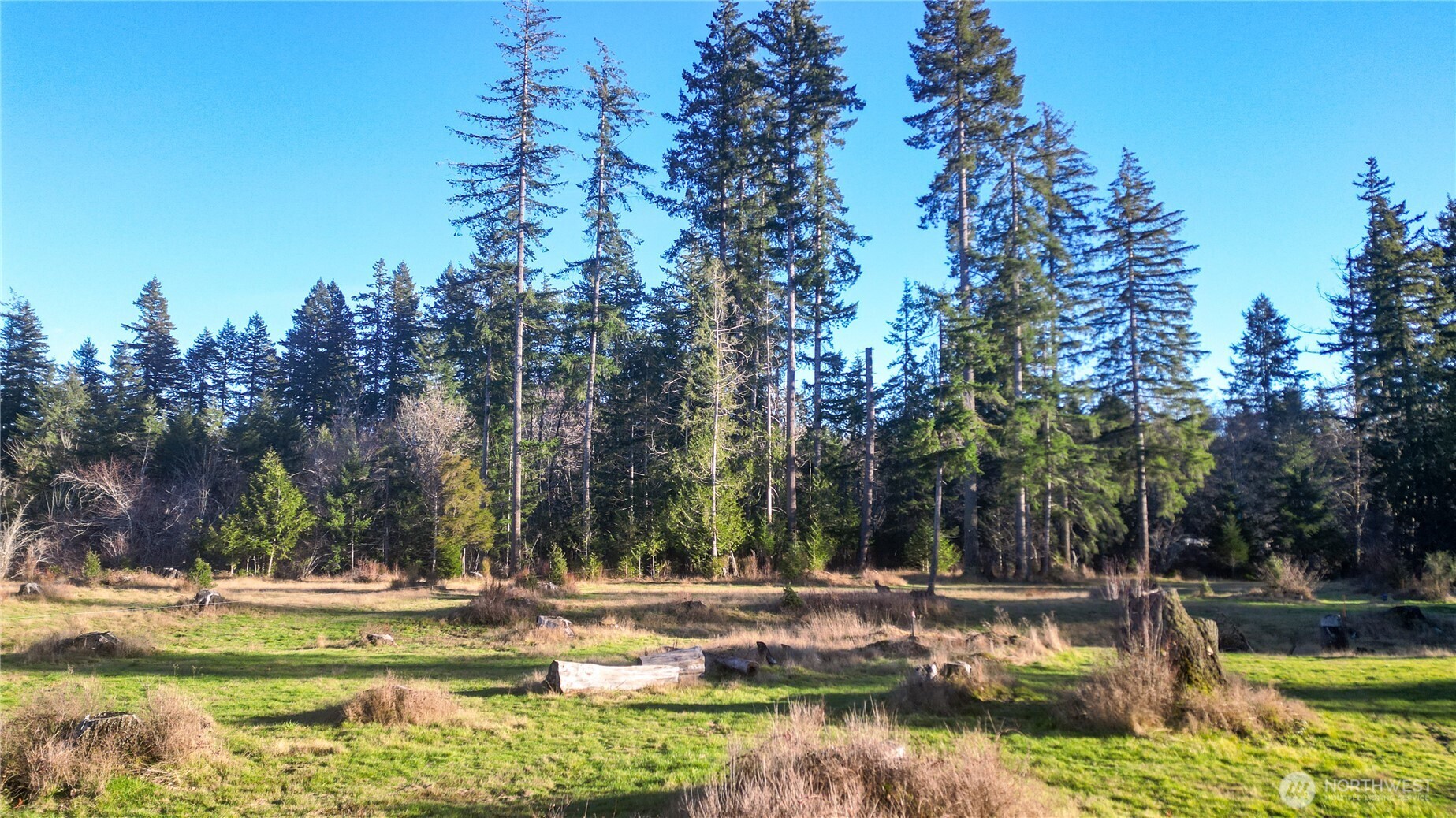 443 Elma Hicklin Rd W Mccleary WA 98557