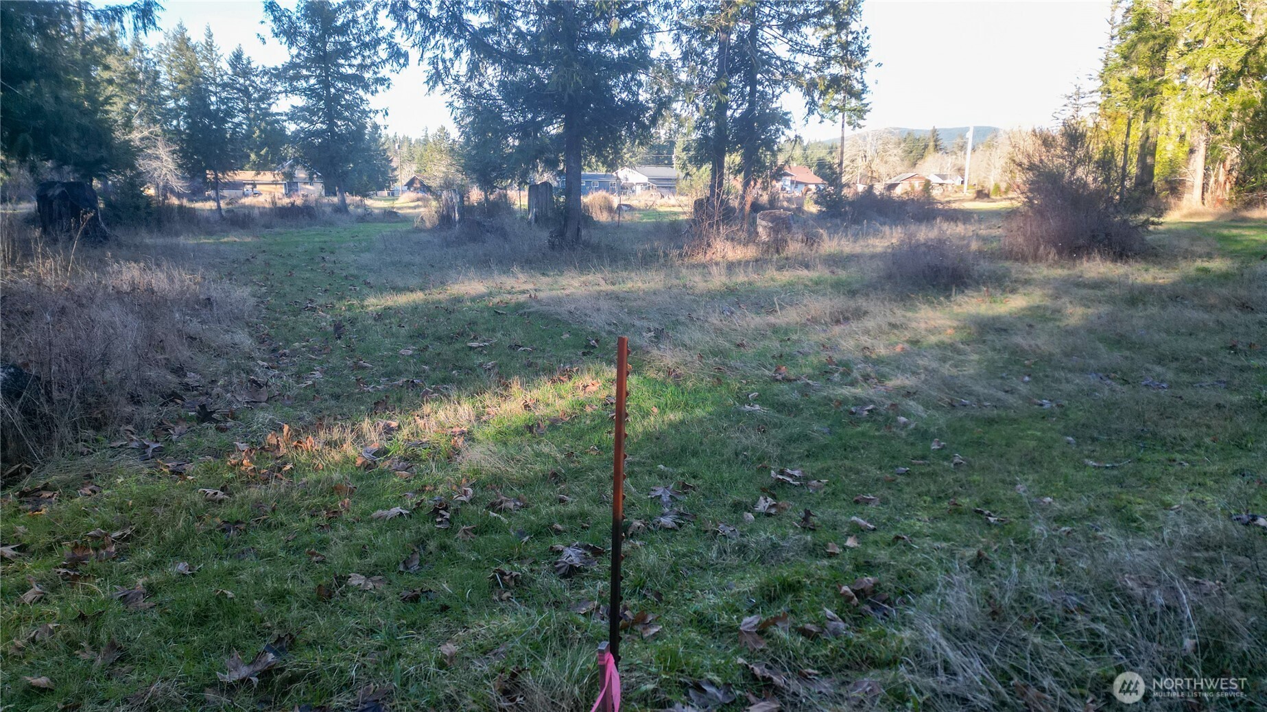 443 Elma Hicklin Rd W Mccleary WA 98557