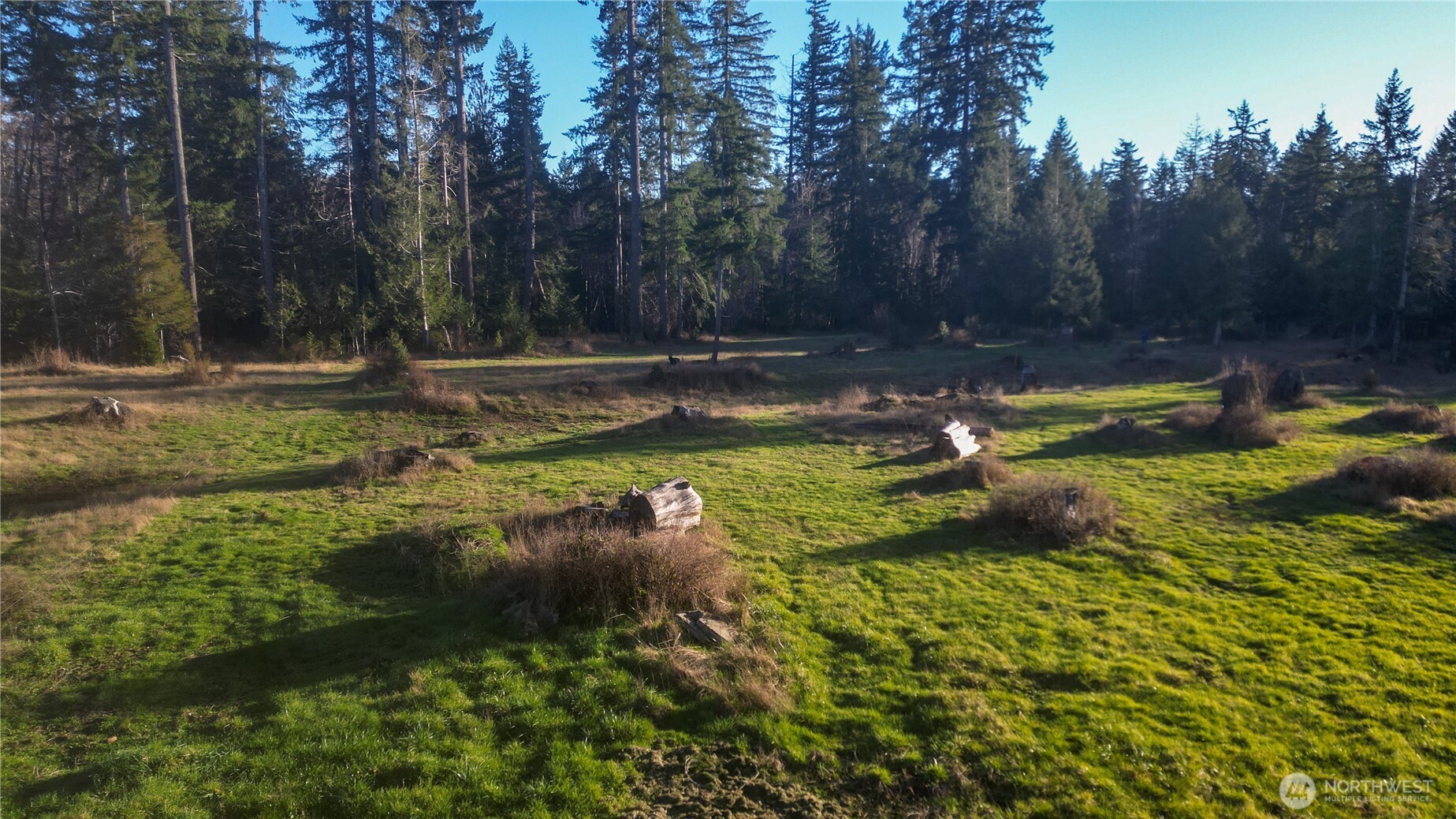 443 Elma Hicklin Rd W Mccleary WA 98557