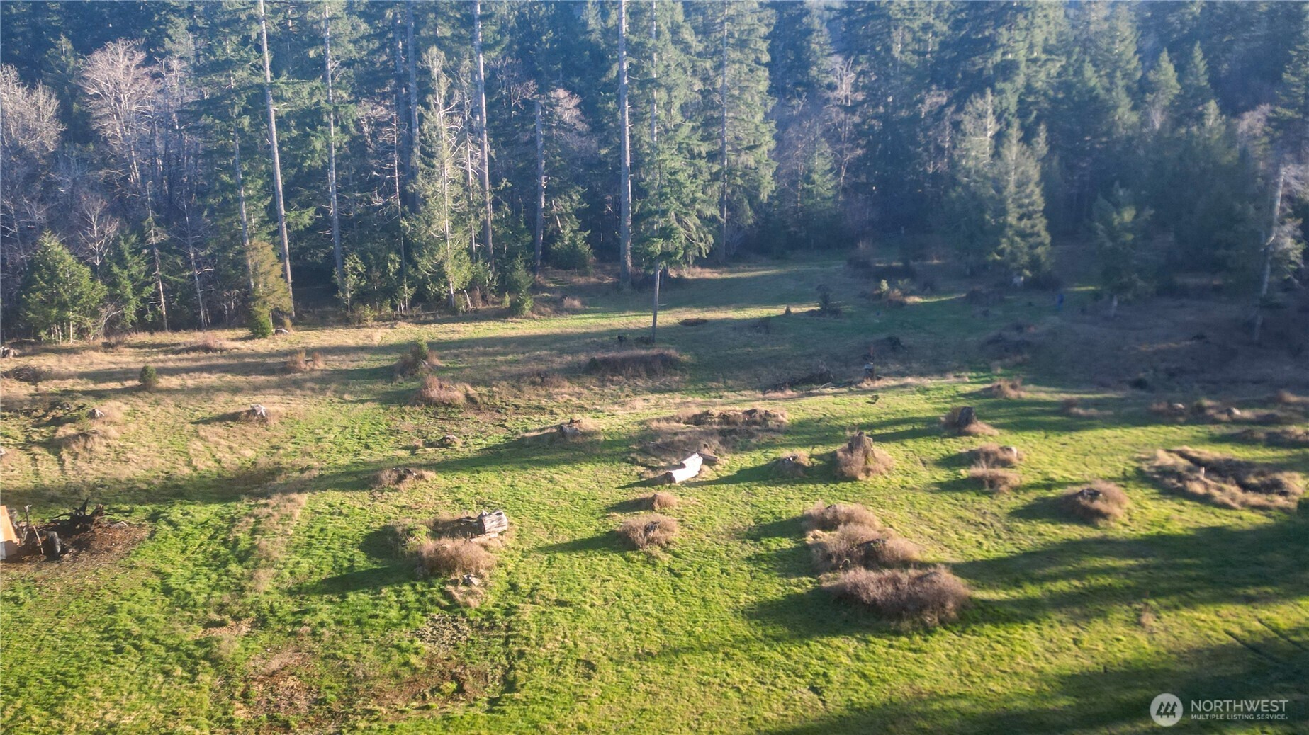 443 Elma Hicklin Rd W Mccleary WA 98557