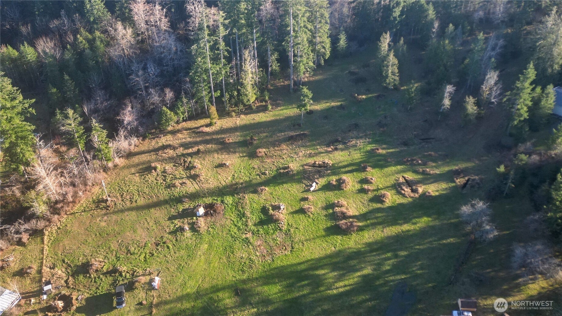 443 Elma Hicklin Rd W Mccleary WA 98557