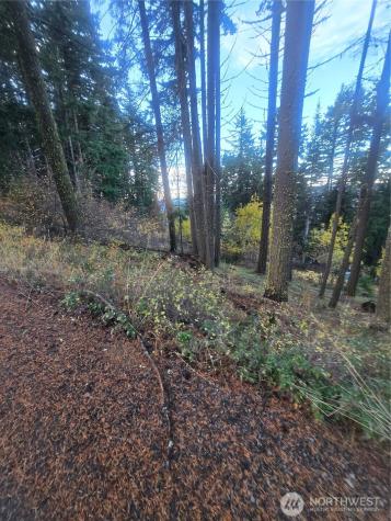 680 Horse Heaven Road Cle Elum WA 98922