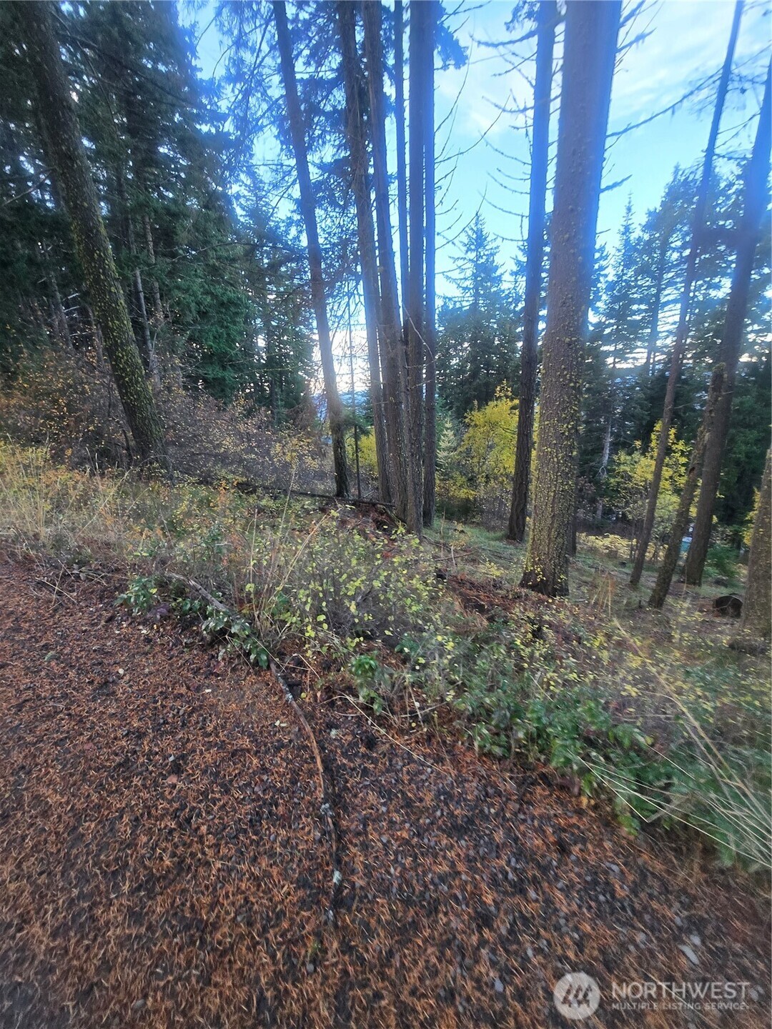 680 Horse Heaven Road Cle Elum WA 98922