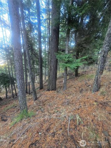 680 Horse Heaven Road Cle Elum WA 98922