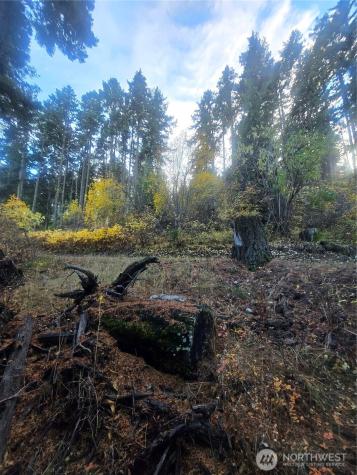 680 Horse Heaven Road Cle Elum WA 98922