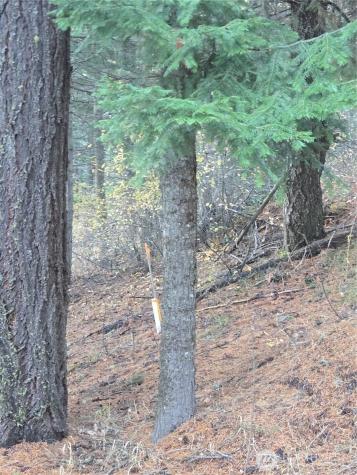 680 Horse Heaven Road Cle Elum WA 98922