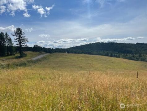 111 Tbd Davies Road Oroville WA 98844