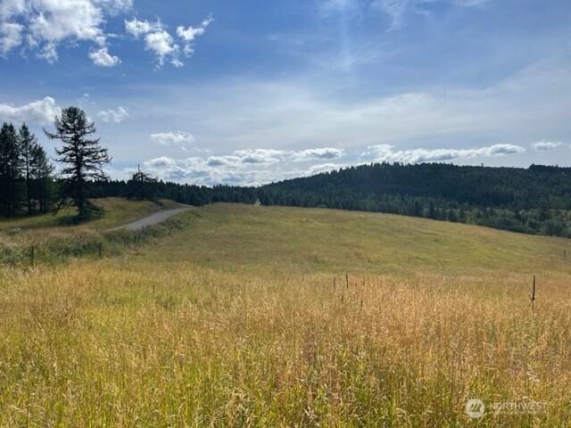 111 Tbd Davies Road Oroville WA 98844