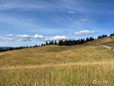 111 Tbd Davies Road Oroville WA 98844