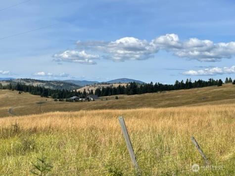 111 Tbd Davies Road Oroville WA 98844