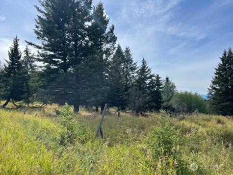 111 Tbd Davies Road Oroville WA 98844