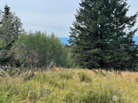 111 Tbd Davies Road Oroville WA 98844