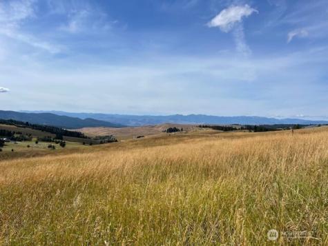 111 Tbd Davies Road Oroville WA 98844