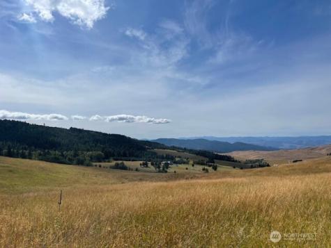 111 Tbd Davies Road Oroville WA 98844