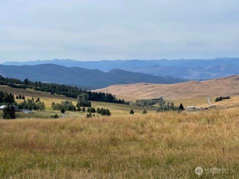 111 Tbd Davies Road Oroville WA 98844